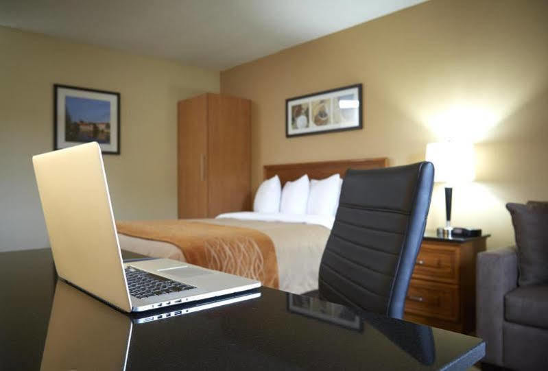 Comfort Inn New Glasgow Exteriör bild